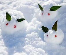 長期間や長編の方限定☆特別枠となります 購入前に枠をご用意制です～*DMお気軽に～*