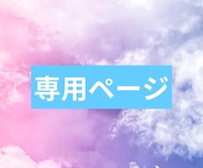 M様専用の特別なセットメニューでございます m様専用ページとなっております。