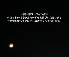ワンコイン一問一答で共感覚持ちが占います イメージ1