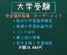 元京大院生のプロ講師が高校生を1ヶ月間教えます 理系6教科8科目全てを教え定期試験・受験対策を行います