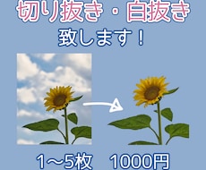 画像の切り抜き・白抜き致します イメージ1