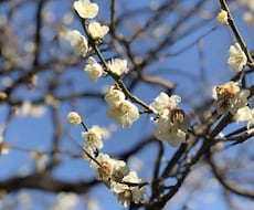 お返事します イメージ1