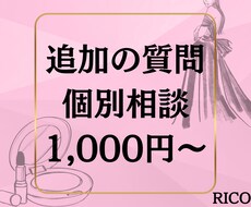 リピーター様専用！追加の質問承ります RICOのサービスを購入したことがある方のみ購入可能です