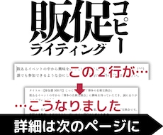 元販促企画者が訴求力が高いセールスコピーを書きます メルマガからECサイトの商品PR文まで幅広くご対応します