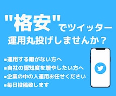 ツイッターを現役プロが運用いたします 現役プロが代行！更新する暇がない方へ！