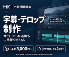 動画に読みやすい字幕・テロップを入れます イメージ1