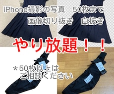 画像の白抜き切り抜きさせていただきます イメージ1