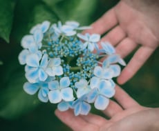 家族写真、記念写真等出張撮影します イメージ1
