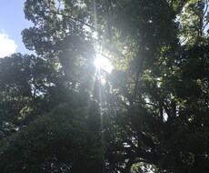 あなたの心の凝りをほぐすお手伝いをいたします イメージ1