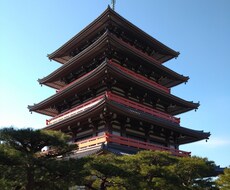 気軽に話すのが得意なほうで、楽になればと思います イメージ1