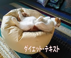 本気で痩せたい方☘️プロがダイエット方法教えます ☆ボディメイク歴39年の匠が痩せる極意❕❕こっそり伝授✨