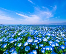 相談なんでも聞きます イメージ1