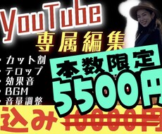 クオリティー重視！視聴維持率を上げる動画作ります 分かりやすい料金システム★低コストで高クオリティの動画を！