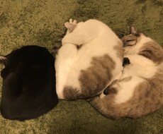 人には言えない話、悩み聞きます 言ったら引かれるだろうなぁということありますよね。