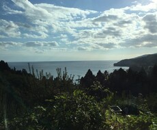 1週間佐渡島の自然豊かな写真を届けます。普段味わうことのない田舎ならではの自然を感じて頂きたいです。 イメージ1