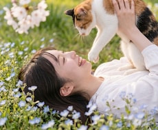 否定される心配のない、やさしい電話時間お届けします イメージ1