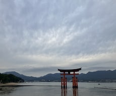 恋愛~仕事運色々占います イメージ1