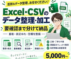 Excel・CSVの整理・重複確認を代行しまます 複数データを整理し要確認まで分けて納品