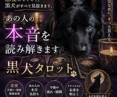 あの人の本音を黒犬タロットが占います