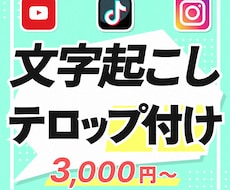 動画のフルテロップ/字幕入れ承ります 手間のかかるテロップ入れ作業はおまかせください！