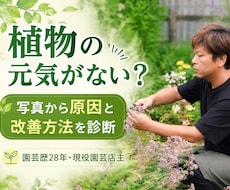 植物の写真から不調の原因と育て方を診断します イメージ1