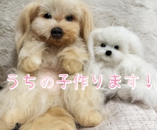 羊毛フェルトでうちの子作ります イメージ1