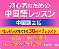 丨忙しい人のための丨【月額】中国語レッスンします ✅月４〜８回フレキシブルで無理なく続ける中国語会話