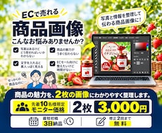 Web制作実務14年EC商品画像制作します イメージ1