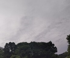 お話お聞きします イメージ1