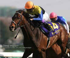 競馬の軸教えます