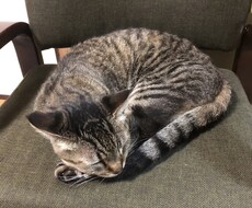LINE感覚で悩み相談受付ます イメージ1