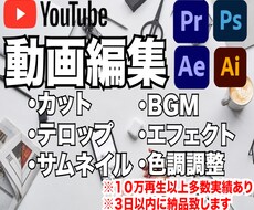 各種動画編集・依頼主様のご希望を第一に作成します クオリティーとスピード重視｜1本1本丁寧に仕上げます！