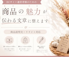 ECサイト運営者が商品の魅力が伝わる文章に整えます 商品の魅力を伝え購入につながる文章へ