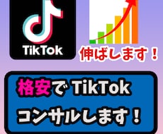 TikTokで有名になるためのコンサルをします TikTokで有名になりたい方を格安で導きます！