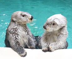 とりあえず話を聞いて欲しい方！いつでもどうぞ！ます イメージ1