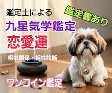 九星気学で恋愛運の総合鑑定を行います イメージ1