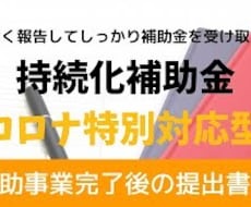 持続化補助金　完了報告書を作成します 手間暇のかかる完了報告書の作成をプロがご提案・サポートします