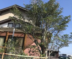 天草の別荘などの見回りをし、状況をお知らせ致します イメージ1