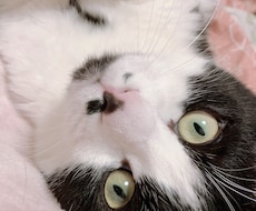 現役学生があなたの愚痴や悩みを優しく聞きます 日常であった悩み、愚痴などを現役学生が聞きます！