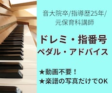 ドレミ・指番号・ペダル・アドバイスを書き込みます 音大院卒指導歴25年★独学やレッスンのための譜読みサポート