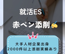 迅速＆丁寧★なES添削！で就活のサポートを行います