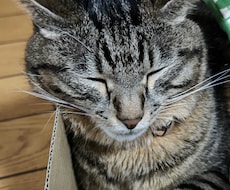 うつの経験をいかし、話し相手、相談にのります イメージ1