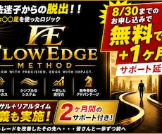 ありそうでなかったバイナリー手法をお伝えします イメージ1