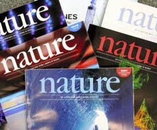 今月のNature誌の面白い記事を教えます 最新の科学をサクッと学びたい方へ