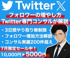 Twitter,Xでのフォロワーの増やし方教えます ご希望の層を的確に狙える専属コンサルの徹底解説！質疑応答◎