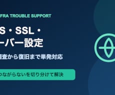 DNS・SSL・サーバー障害を調べて直します イメージ1