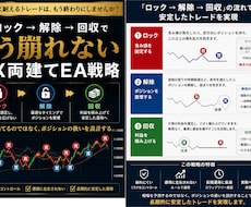 FX両建てロック→解除→回収の全ロジック公開ます イメージ1