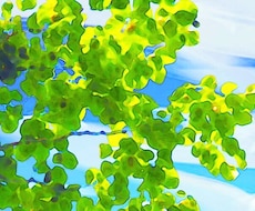 あなたのいろいろな 『こと』 お話しお聴きします 悩み(._.) 嬉び(°▽°) 孤独(˙-˙) 寄り添います