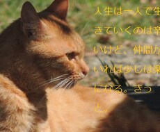 【心理カウンセラー目指しています】なんでも相談してください。 イメージ1