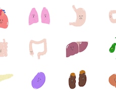 ゆるくて可愛い人体の内臓イラスト12点販売します イメージ1